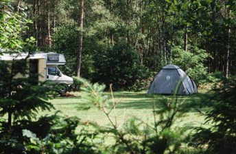 kamperen bij de boswachter