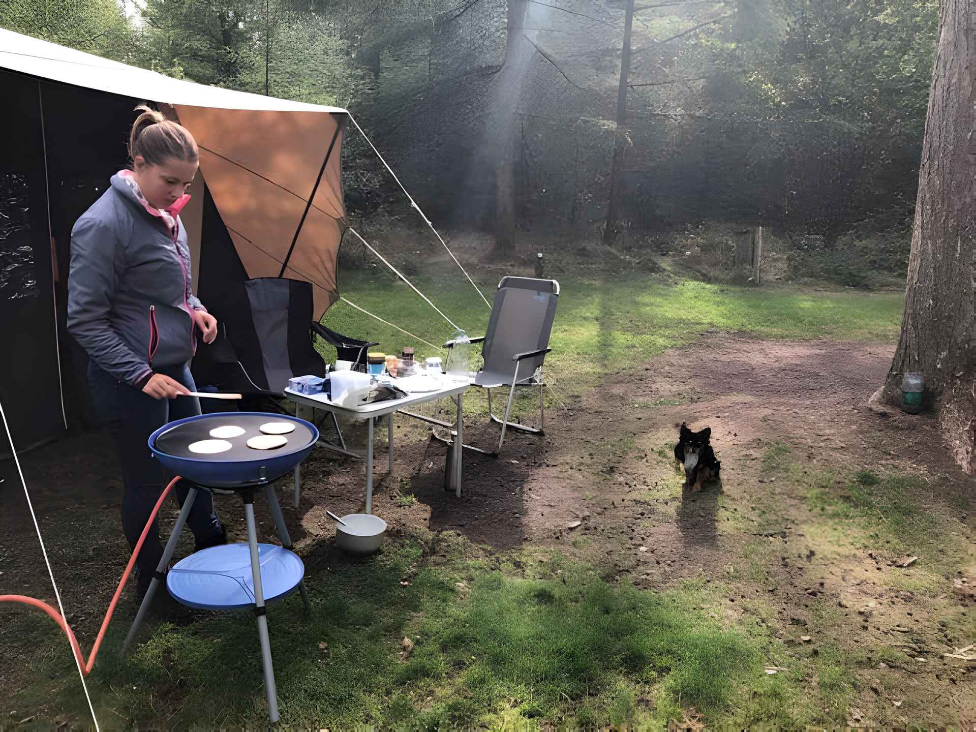 kamperen staatsbosbeheer
