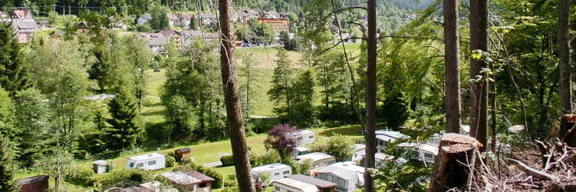 kamperen zwarte woud