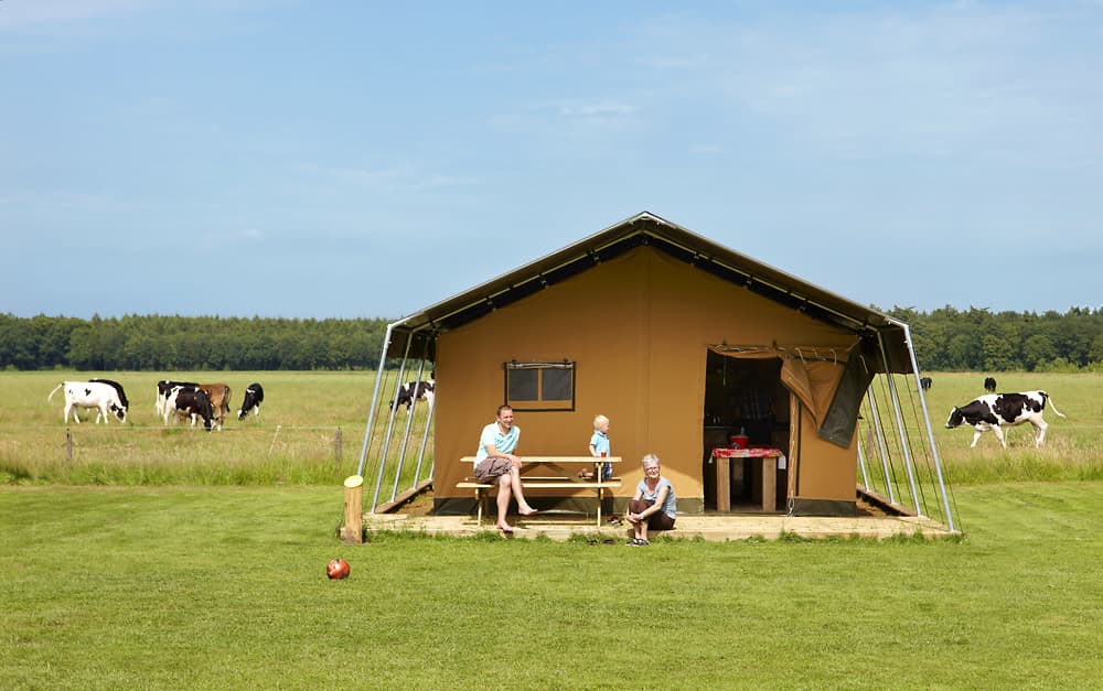 last minute safaritent