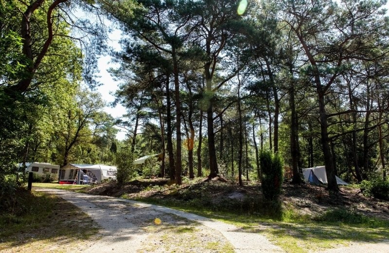 camping hemelvaart pinksteren arrangement