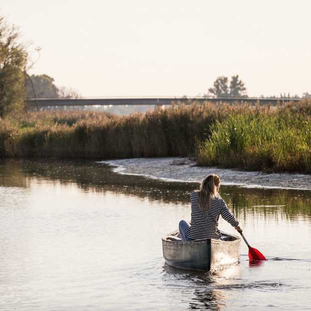 kamperen in de biesbosch