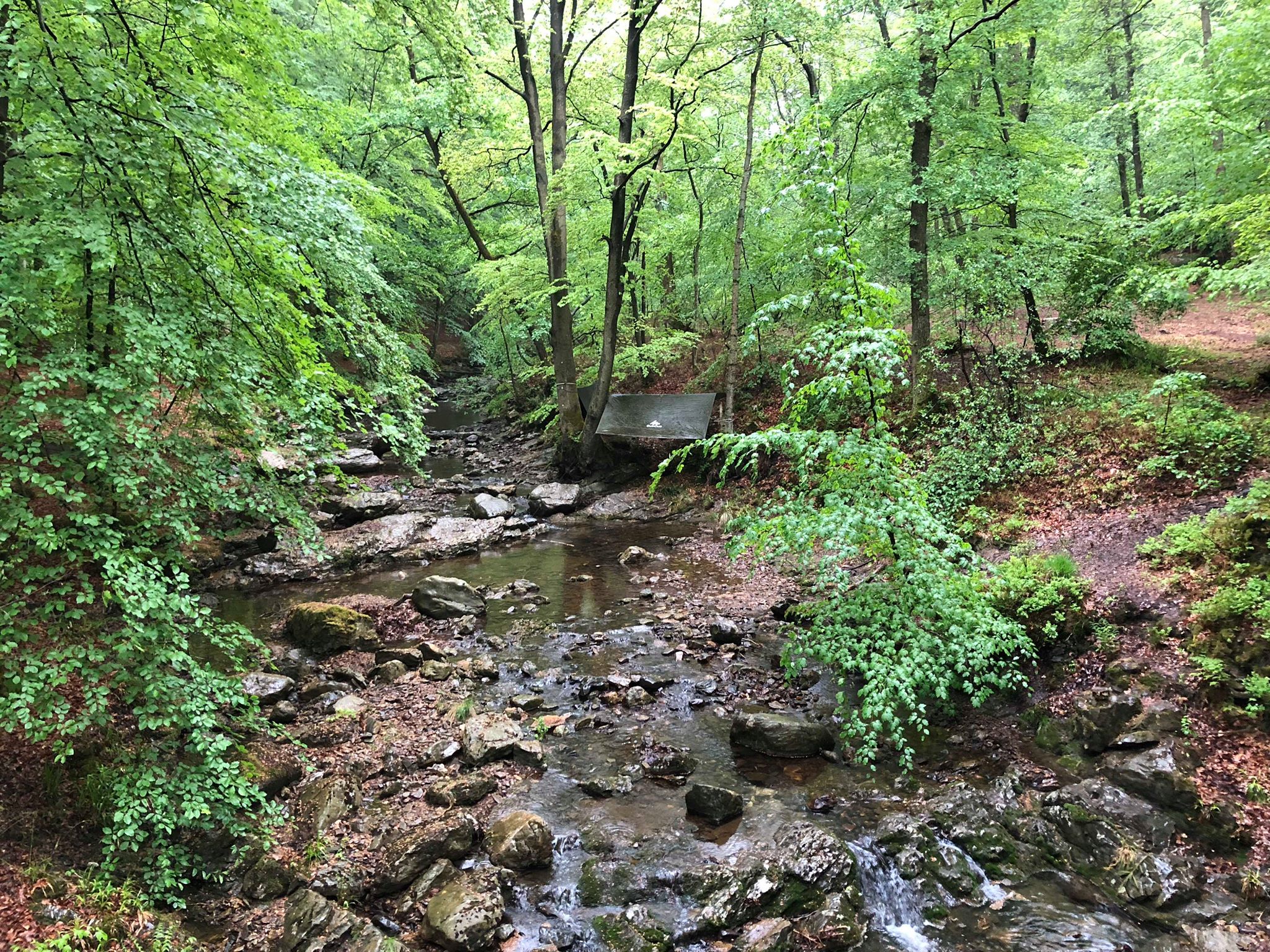 paalkamperen ardennen