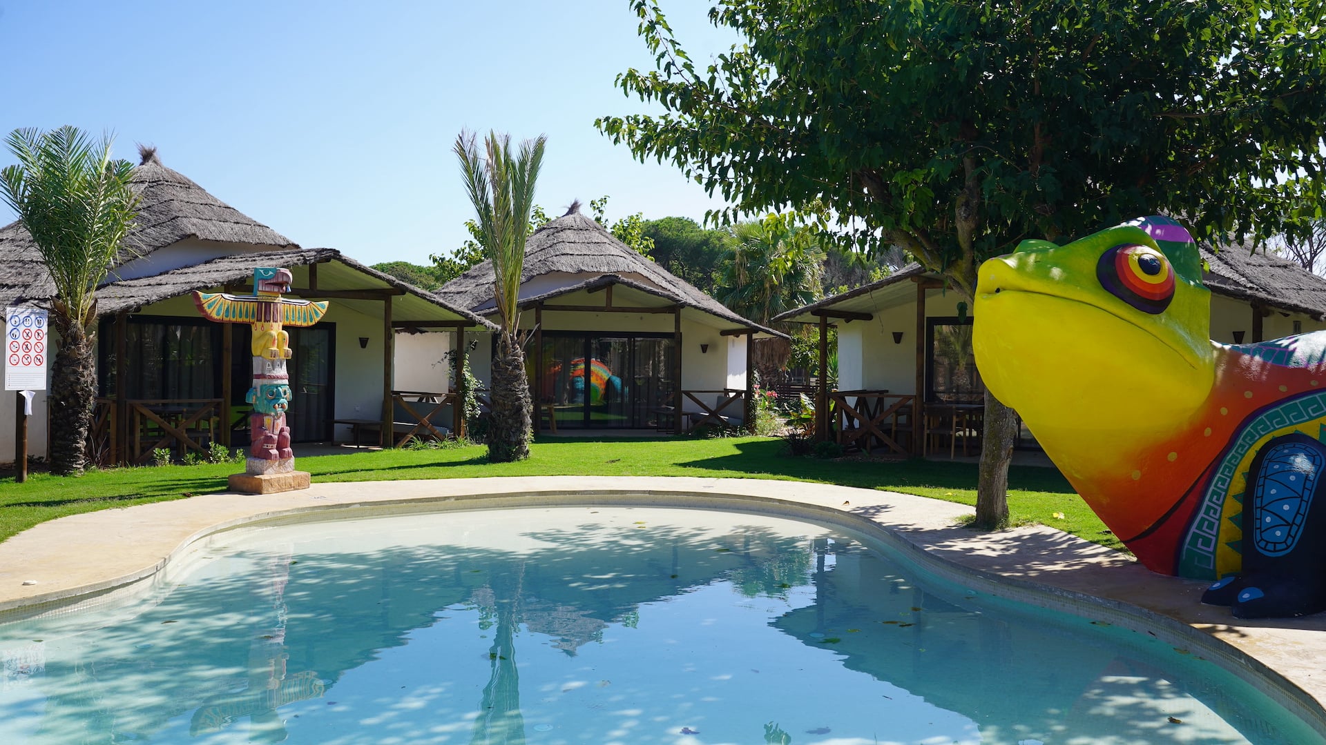 delfin verde glamping